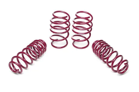 New Arrival Vogtland Sport Lowering Springs - Polo 6 AW