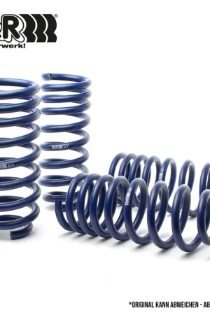 H&R Performance Raising Springs - 29203-1 Special Offer