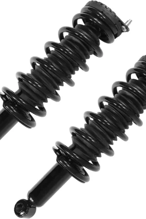 Genuine Rear Struts w\\/Coil Spring (Pair)