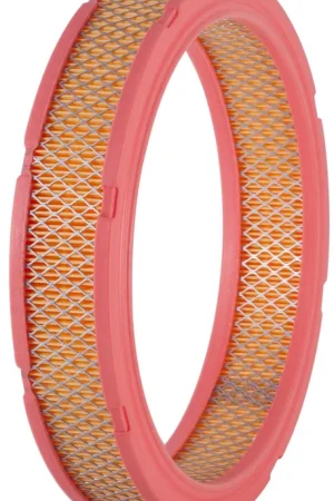 Exclusive Offer Ford F-100 Air Filter 1978 PA90