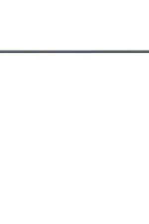 Windshield Weatherstrip Molding for 1999-2003 Acura TL Sedan 4-Door WFS F2106 RC Brand New