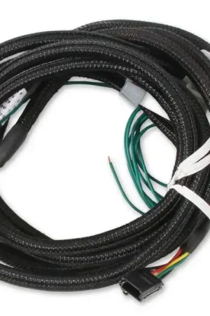 MSD EFI And LS Harness - Pro 600 Replacement Harness To Connect To EFI Systems Or LS Engines Free Returns