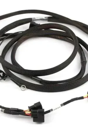 Viral Haltech Elite 2000/2500 Toyota 2JZ HPI6 Ignition Harness