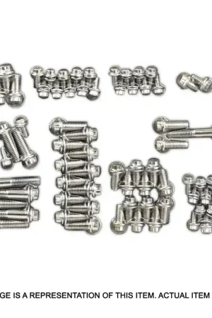 Proflow Engine Bolts Stainless Steel 12 Point Big Block For Chevrolet Kit Fresh Stock