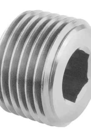 Proflow Fitting Socket Plug 1/8in NPT Stainless Affordable