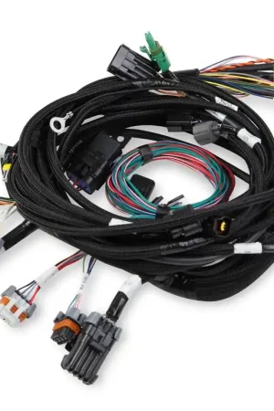 Latest Holley EFI Ford 2V & 4V Modular Main Harness Ford 2V & 4V Modular Main Harness, For HP EFI & Dominator EFI
