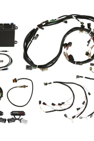 Holley EFI Ford Coyote Ti-VCT Capable HP EFI Kit, NTK O2 Limited Time