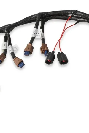 Holley EFI Ford Coyote Ti-VCT Coil Harness 2015.5-2017 Ford Coyote Ti-VCT Coil Harness 2015.5-2017 Best Choice