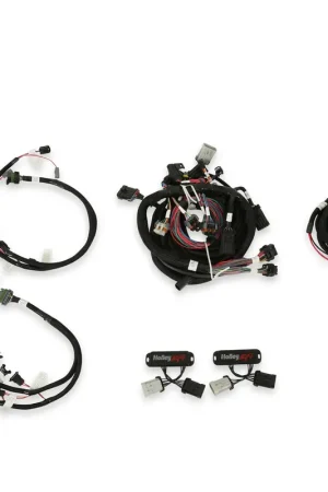 Holley EFI Ford Modular 2 Valve EFI Harness Kit 1999-2004 Ford Modular 2 Valve Harness Kit Fan Favorite