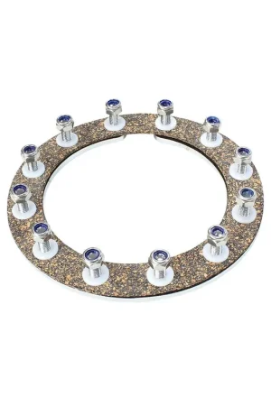 Aeroflow Fuel Cell Screw Ring with Nuts & Gasket Handmade