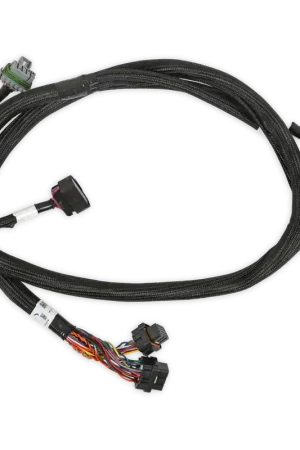 Holley EFI GM GEN V GDI Subharness Early LTx Engines Top Pick