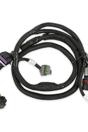 Holley EFI GM GEN V GDI Subharness Late LTx Engines Money Back Guarantee