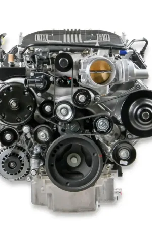 Holley GM Gen V LT4 Wet Sump Engines- Black Finish Complete GM Gen V LT4 Accessory Drive System w/ Alt, P/S, A/C, Water Pump, Belts, and hardware. Viral