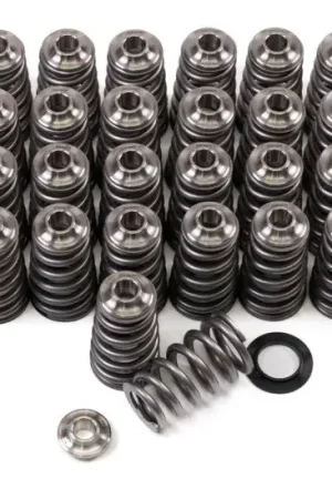 Special Discount GSC Power Division GSC P-D Ford Mustang 5.0L Coyote Gen 3 Conical Valve Spring and Ti Retainer Kit