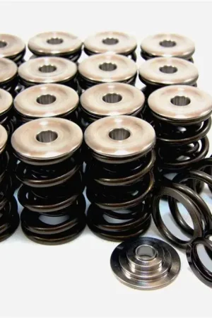 While Supplies Last GSC Power Division GSC P-D Honda B-Series Vtec Dual Spring Set and Titanium Retainer