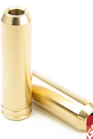 Budget GSC Power Division GSC P-D Honda Civic Type-R K20C1 (STD) Intake Valve Guide - Set of 8