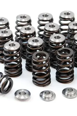 GSC Power Division GSC P-D Hyundai G4KF Theta Beehive Valve Spring and Titanium Retainer Kit Top Pick