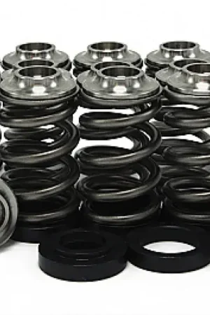 Free Delivery GSC Power Division GSC P-D Nissan RB26DETT/RB26 Cylindrical Valve Spring Kit