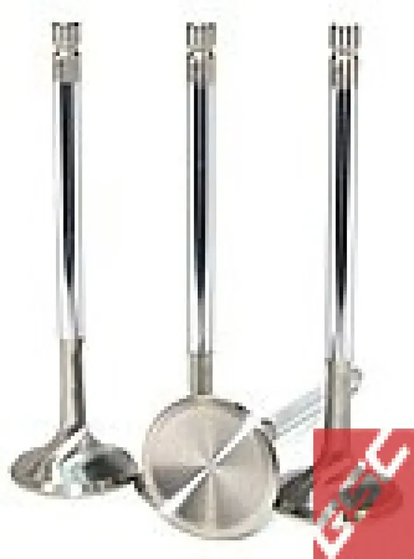 Bargain GSC Power Division GSC P-D Nissan TB48DE Stainless Steel Intake Valve 38.50mm Head (STD) - Set of 12