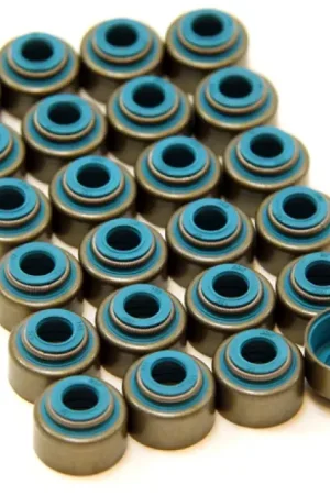GSC Power Division GSC P-D Nissan VQ35DE Viton 5.5mm Valve Stem Seal Set Buy Today