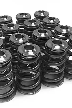 GSC Power Division GSC P-D Subaru EJ Series Conical Valve Spring and Ti Retainer Kit Buy Today