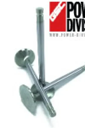 GSC Power Division GSC P-D Toyota 2JZ Chrome Alloy Polished Exhaust Valve - 30.0mm Head (+1mm) 6.6mm Stem - Set of 12 Viral