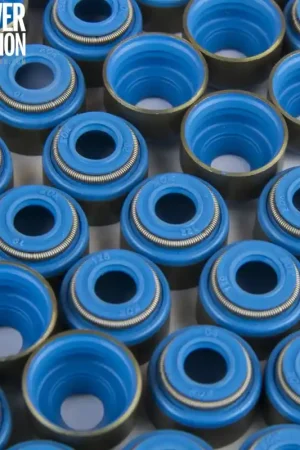 GSC Power Division GSC P-D Toyota 2JZ Viton 6.6mm Exhaust Valve Guide Seal Kit Set of 12 Best Choice