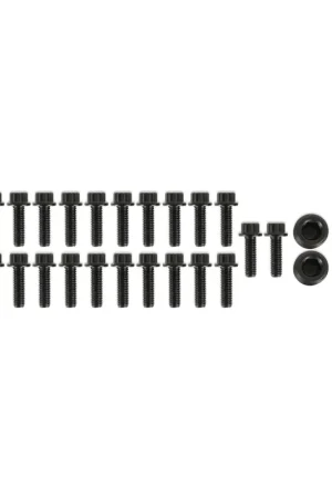 Holley EFI HARDWARE KIT, COYOTE HI-RAM & ULTRA LO-RAM PLENUM, BLACK Installation Hardware Today Only