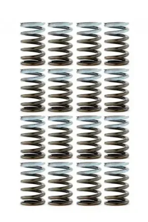 Exclusive Tomei High Performance Valve Spring Set (EVO X)