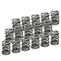 Supertech Honda H22A1/H22A4 Dual Valve Spring - Set of 16 Special Discount