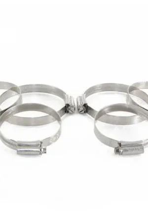 Viral Mountune Hose Clip Kit - Induction (Focus RS 09-11)