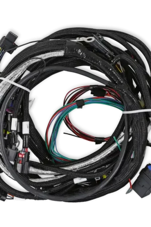 One Day Deal Holley EFI LT4 Engine Main Harness For use with Terminator X - Requires V3 Software