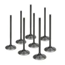 Supertech Mazda/Ford Duratec 2.0L/2.3L Black Nitrided Intake Valve - Set of 8 Shop Now