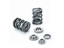 Supertech Mitsubishi EVO X 4B11 Beehive Valve Springs Kit Price Drop