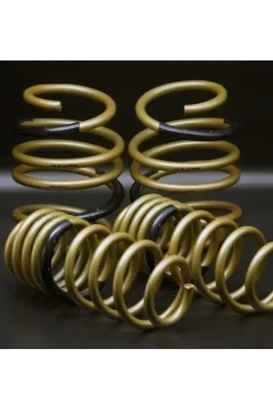 Buy Direct J's Racing Hyper Springs - Honda Civic Type R FK8 17-21 – SBX Performance