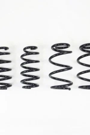 RS-R 19+ Tesla Model 3 AWD Down Sus Springs Direct From Factory