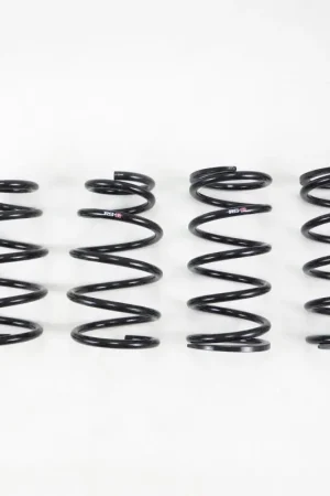 RS-R 2016+ Lexus RX350 AWD Down Sus Springs Professional Grade