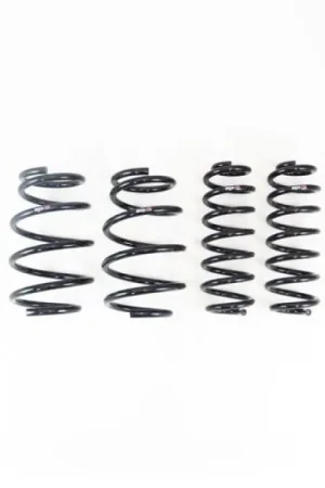 Fan Favorite RS-R 2021+ Lexus NX350h F Sport AWD Down Sus Springs